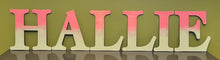 Load image into Gallery viewer, Made to order Letters! Prices start at $10/letter!
