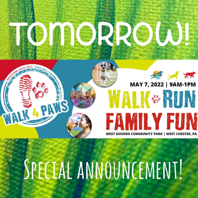 Special announcement!