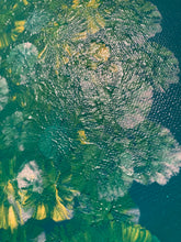 Load image into Gallery viewer, Dandelion Dream
