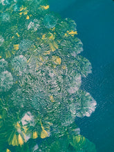 Load image into Gallery viewer, Dandelion Dream
